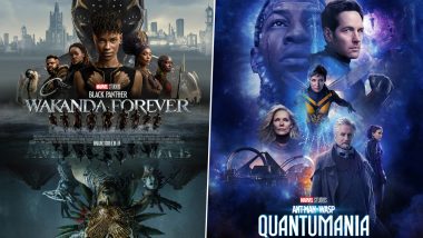 China Lifts Ban on Marvel Films; Black Panther Wakanda Forever, Ant-Man And The Wasp Quantumania Gets Release Date