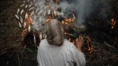 India News | Phari: This Winter Delicacy of Kashmir Helps People There Stay Warm