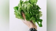 Science News | Researchers Suggest Green Veggies Good for Blood Vessels