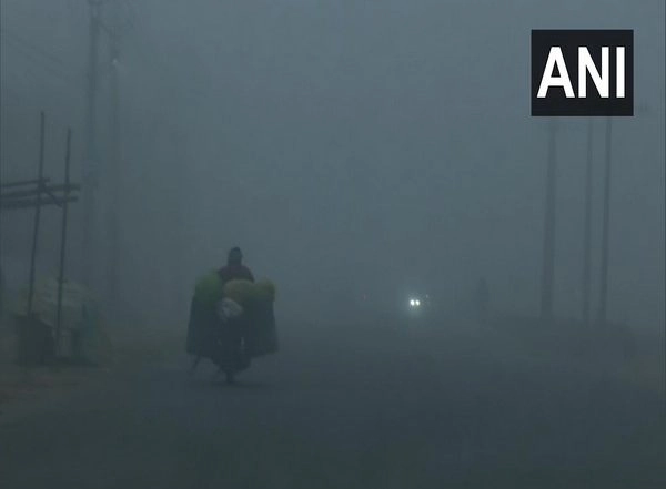 Northwest India Weather Forecast: Cold Wave Conditions Likely to Continue for Next Five Days in Uttarakhand, Punjab, Haryana and Uttar Pradesh