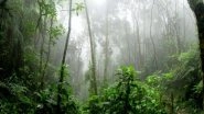Science News | Mirror Image Molecules Reveal Drought Stress in Forests