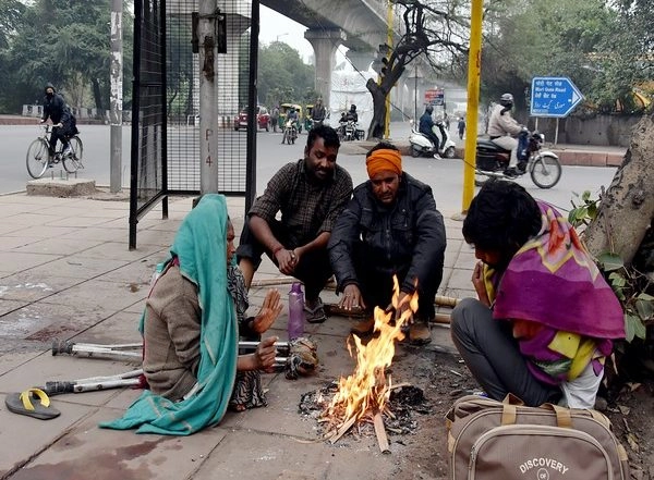 India News | Cold Wave Conditions Likely to Continue over Northwest India for Next 5 Days: IMD