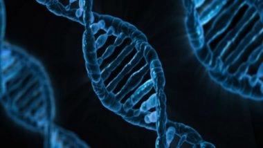 Science News | Research Reveals New Method for Tracking Gene Activity Across Tissues