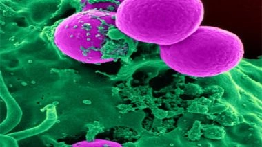 Science News | Study Reveals Cells Have 'memories' Stored in Protein Chains