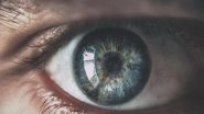 Science News | Researchers Explore How Cornea Heals Itself After Injury Gets Altered by Dry Eye Disease