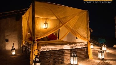 Business News | Uttarakhand's Paatlidun Safari Lodge Emerges as a Top Choice for Celebrity Vacations