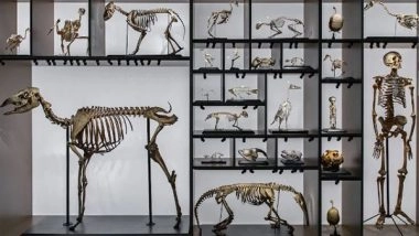 Science News | Scientists Delve into How Evolution Works