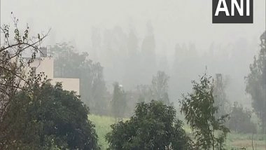 India News | IMD Predicts Abatement of Cold Wave, Cold Day Conditions over Northwest India After 24 Hours