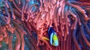 Science News | Research Reveals Reef Fish Find It Harder to Locate Rivals Due to Coral Bleaching