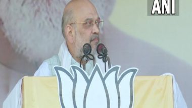 Amit Shah in Jharkhand Says 'Intruders Forcefully Marrying Tribal Girls, Grabbing Their Land'