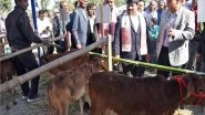 Business News | Assam: Purabi Dairy Organises Calf Show to Highlight Benefits of Artificial Insemination