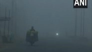 India News | Dense Fog Engulfs North India; Zero Visibility in Punjab's Bhatinda