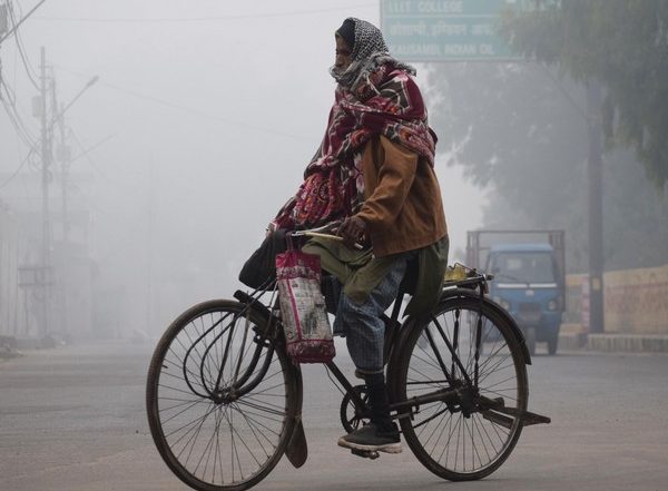 India News | Delhi Experienced Third Worst Cold Spell in 23 Years: IMD