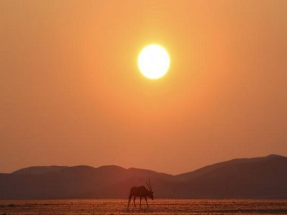 World News | 2022 Confirmed as One of Warmest Years on Record: UN Agency - Vimarsana News