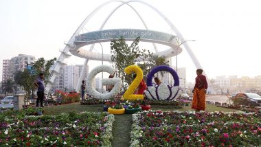 G20 Meetings: Government Exempts Delegates and Participants Arriving in India From 2% Random COVID-19 Testing at Airports