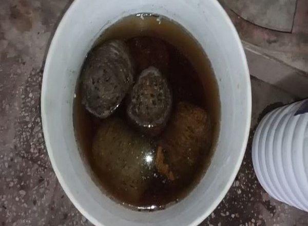 Bihar: Eight Live Bombs Recovered from Fruit Seller in Hajipur