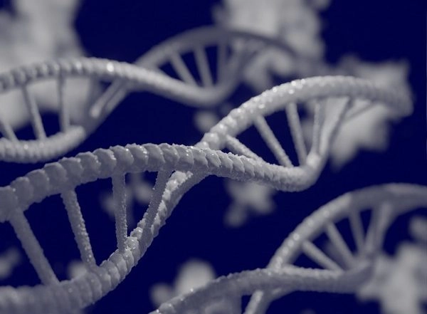 Science News | Study Concludes Evolution of Uniquely Human DNA Was a Balancing Act