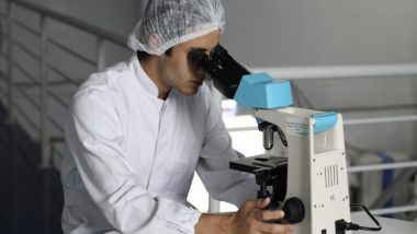 Science News | Study Identifies Potential New Approach for Treating Lupus