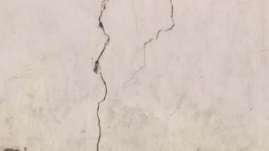 India News | Uttarakhand: Panic Grips Chamoli Village After Cracks Appear