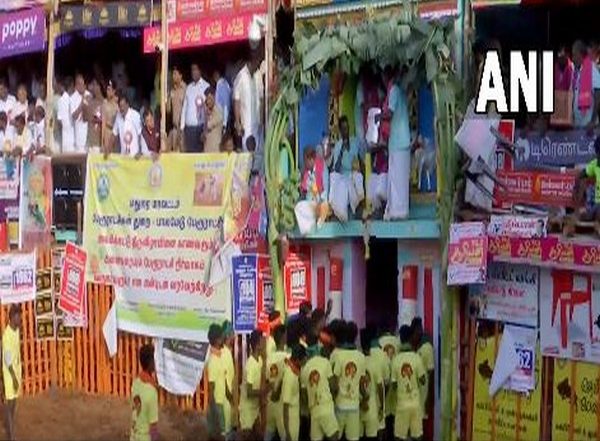 Jallikattu in Tamil Nadu Video: Bull-Taming Festival Begins in Madurai's Palamedu
