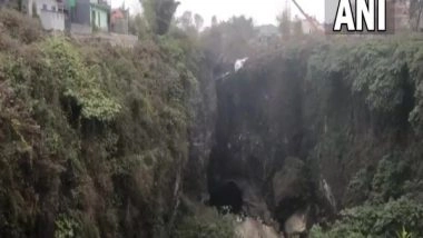 World News | Video Capturing Horror of Nepal Plane Crash Trending on Social Media