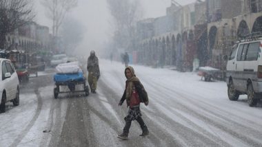 Afghanistan: Extreme Cold Claims 20 Lives, 4,000 Cattle Die in Badghis