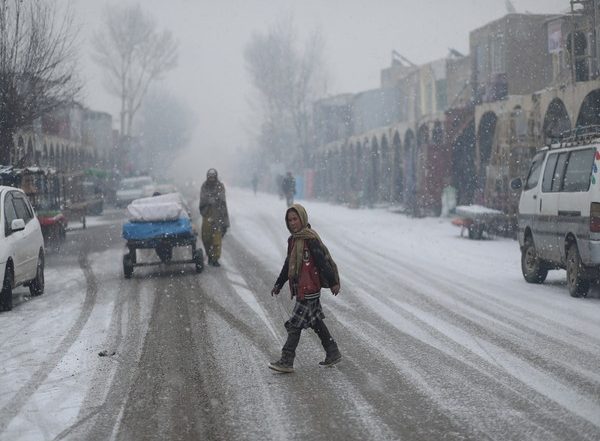 Afghanistan: Extreme Cold Claims 20 Lives, 4,000 Cattle Die in Badghis