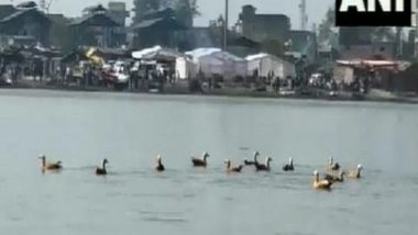 India News | UP: Tourists Arrive as Migratory Siberian Birds Flock to Brijghat in Hapur