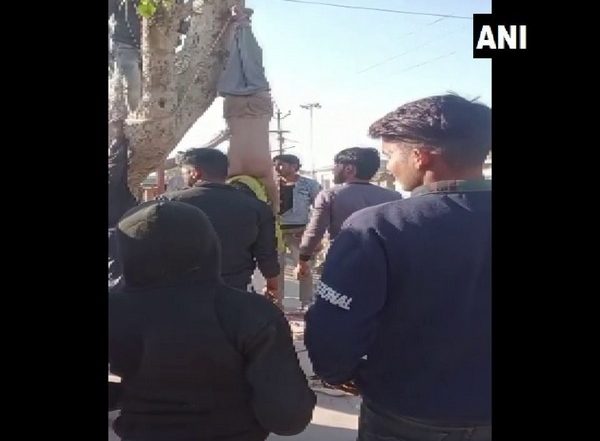 India News | Video Shows People Hanging Man Upside Down from Tree, Beating Him for Pelting Stones at Temple in Rajasthan