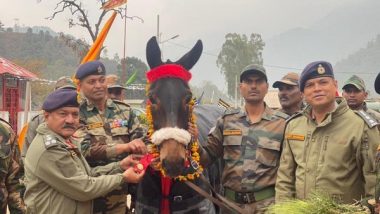 India News | Army Day 2023: Army Mule Awarded Chief of Army Staff Commendation Card