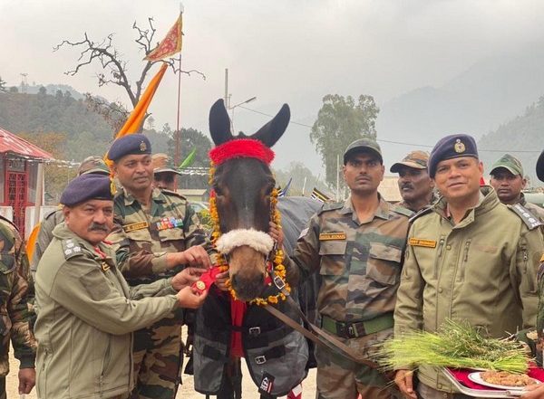 India News | Army Day 2023: Army Mule Awarded Chief of Army Staff Commendation Card