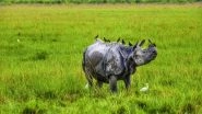 India News | Zero Rhino Poaching in Kaziranga: Here's How It Was Achieved