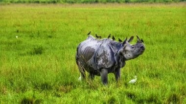 India News | Zero Rhino Poaching in Kaziranga: Here's How It Was Achieved