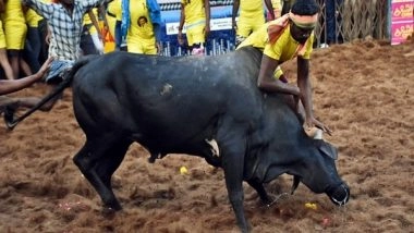 India News | 34 Injured in Manjuvirattu Events in Tamil Nadu