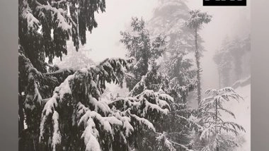 India News | As Temperature Lowers in Himachal, Tourism in the Hills Increase