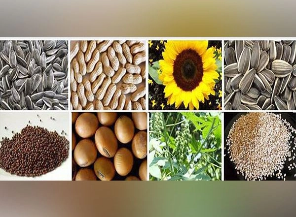 Business News | India's Overall Oilmeal Exports Rose 60% So Far in 2022-23