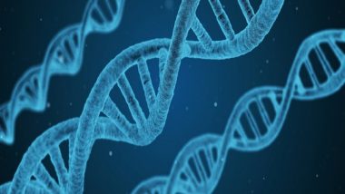 Science News | Key Aspect of Finely Tuned Regulation of Gene Expression Revealed: Research