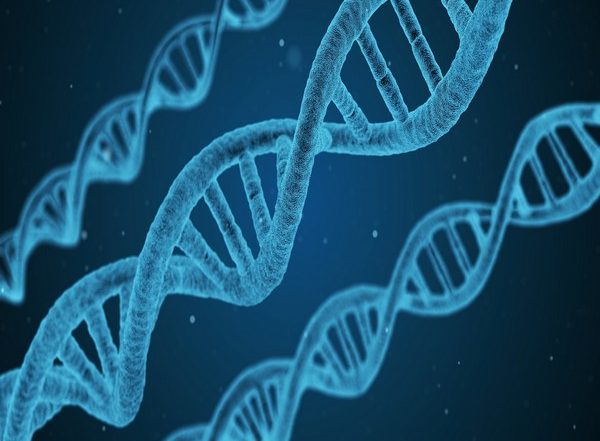 Science News | Key Aspect of Finely Tuned Regulation of Gene Expression Revealed: Research