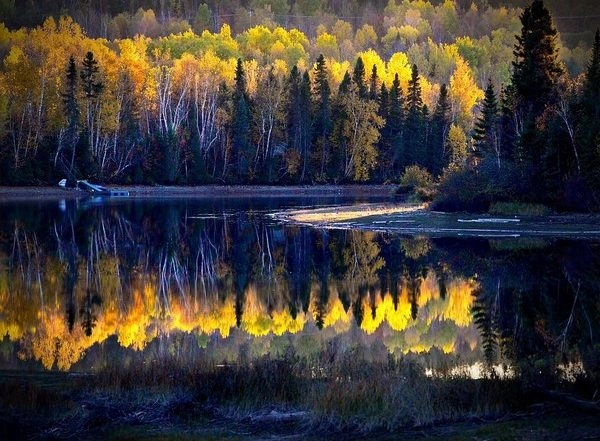 Science News | Effective Protected Areas Needed to Prevent Biodiversity Loss: Study