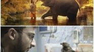 Entertainment News | Indian Documentaries 'All That Breathes' and 'The Elephant Whisperers' Makes It to Oscar Nominations