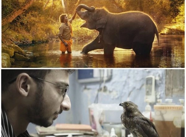 Entertainment News | Indian Documentaries 'All That Breathes' and 'The Elephant Whisperers' Makes It to Oscar Nominations