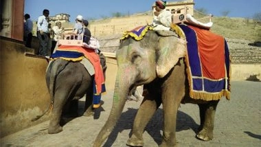 Business News | National Tourism Day: World Animal Protection Urges Travel Companies and Individuals to Adopt Wildlife-friendly Tourism