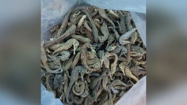 India News | West Bengal Forest Officials Arrest Man, Seize 5 Kg Dried Sea Horse