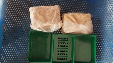 India News | Manipur: Heroin Worth over Rs 3 Lakh Recovered in Jiribam, Two Held