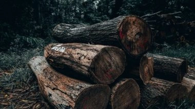 Science News | Reviews Explore Impacts of Amazon Deforestation