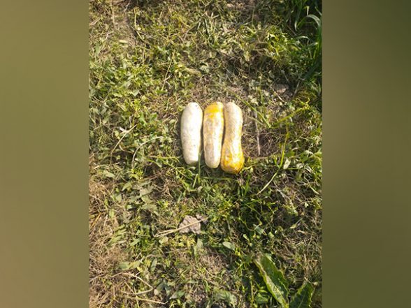 India News | Punjab: BSF Recovers 3 Kg Heroin in Ferozepur - Vimarsana News