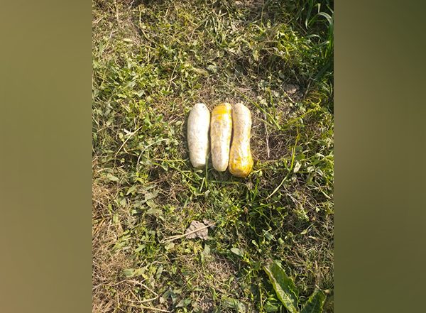 India News | Punjab: BSF Recovers 3 Kg Heroin in Ferozepur