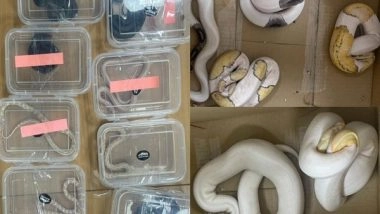India News | DRI Recovers Smuggled Rare 139 Animals from Bengaluru Farmhouse