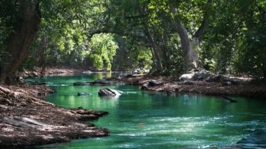 Science News | Study Finds Ancestral Variation Guides Future Environmental Adaptations