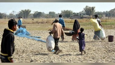 India News | 81 Illegal Immigrants from Myanmar Arrested in Manipur